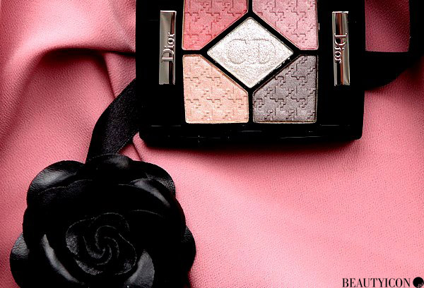 Dior Cherie Bow 5 Couleurs Rose Ballerine