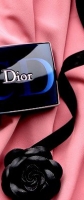 Dior Cherie Bow 5 Couleurs Rose Ballerine