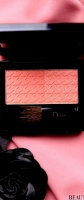 dior-tender-coral-cherie-bow-20131