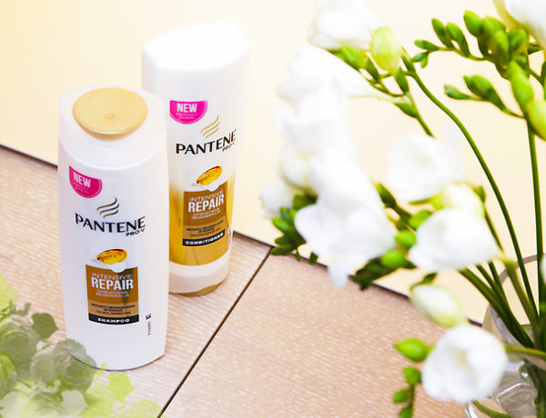 pantene konkurs